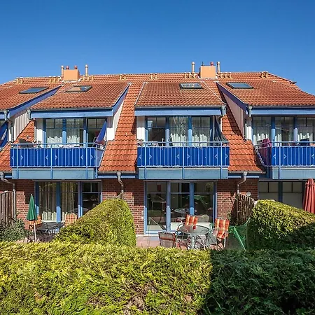 Papillon 01-3 * بولتينهاجين